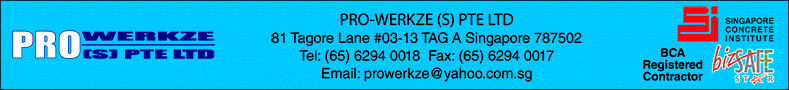 PRO-WERKZE (S) PTE. LTD.
