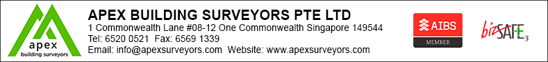 APEX BUILDING SURVEYORS PTE LTD