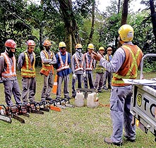 TREE CUTTING