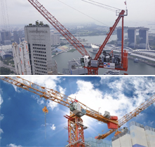 TYPES OF CRANES